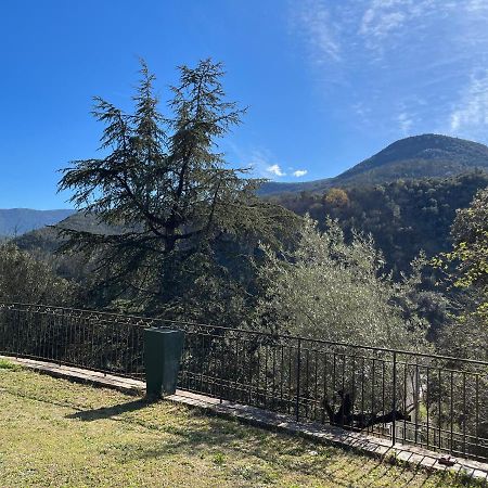 Villa Les Oliviers Maison D'Hotes Saint-Laurent-le-Minier Екстериор снимка